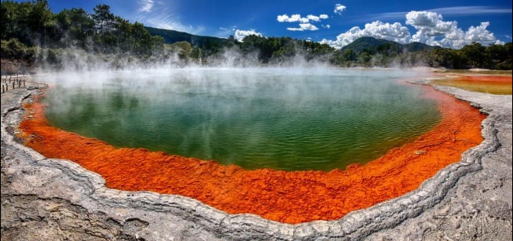Great View Near Rotorua Lake Exterior photo